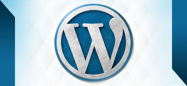 Wordpress for seo